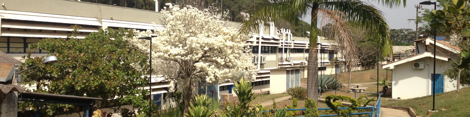 The image represents the northern façade of the UFSCar chemistry department. In the foreground, one can see the lawn and the presence of some trees and bushes, with a white ipê, the landmark of the department, standing out in the center of the image. In the background, it is possible to observe that the white façade of the building, has several windows and some apparent hydraulic installations due to the characteristic use of a laboratory.